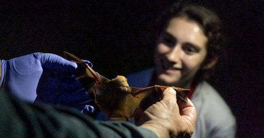 Professor of Biology Russ Benedict showing a bat to a student during a STEM exploration event.