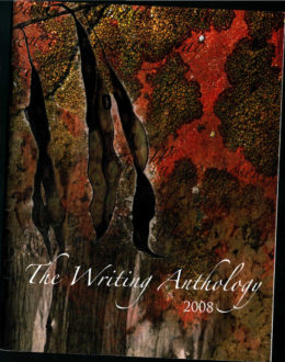 2008 Cover