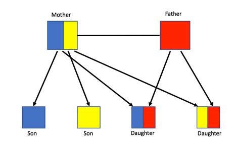 Diagram showing shared genes