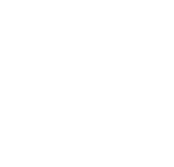 Central RED Society logo.