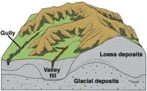 Artwork Diagram